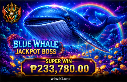 WINZIR fishing targets