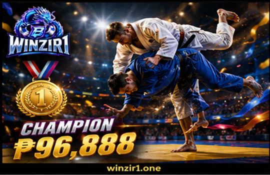 WINZIR sports