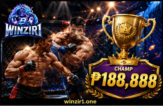 WINZIR sports picks
